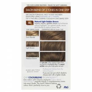 Clairol Nice N Easy 116A Natural Light Golden Brown