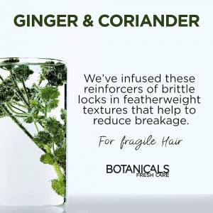 L'Oreal Botanicals Coriander Strength Mask 200ml