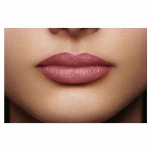 L'Oreal Color Riche Lip Matte 110 Made In Paris