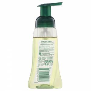 Palmolive Foaming Hand Wash Antibacterial Lime 250ml