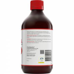 Swisse Chlorophyll Mixed Berry 500ml