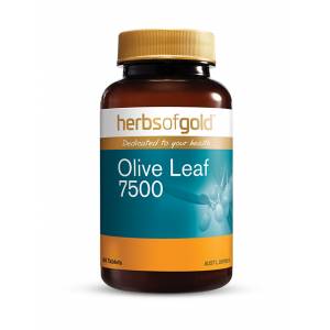 Herbs Of Gold Olive Leaf 7500 60 Tablets