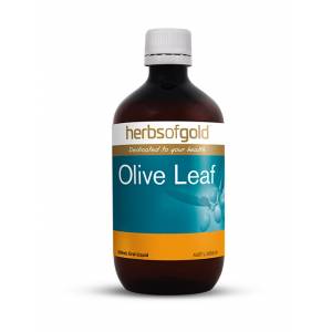 Herbs Of Gold Olive Leaf 500ml