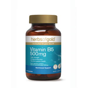 Herbs Of Gold Vitamin B5 500mg 60 Capsules